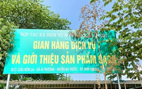 Cà gai leo, mật ong của hợp tác xã dịch vụ nông dược bá Thước