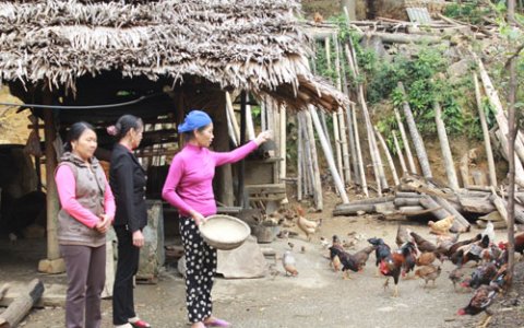Lương Ngoại: Điểm sáng phong trào học tập trong gia đình và dòng họ