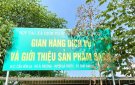 Cà gai leo, mật ong của hợp tác xã dịch vụ nông dược bá Thước